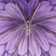 Зонт-трость Uno Georgin Viola арт. 21065/71 G15